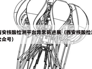 西安核酸检测平台异常新进展（西安核酸检测公众号）