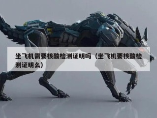 坐飞机需要核酸检测证明吗（坐飞机要核酸检测证明么）