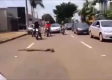 摩托车驾驶员遭遇眼镜蛇突袭，生死瞬间的惊魂考验